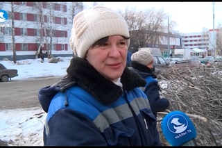 «ВЕКТОР КОМФОРТА» от