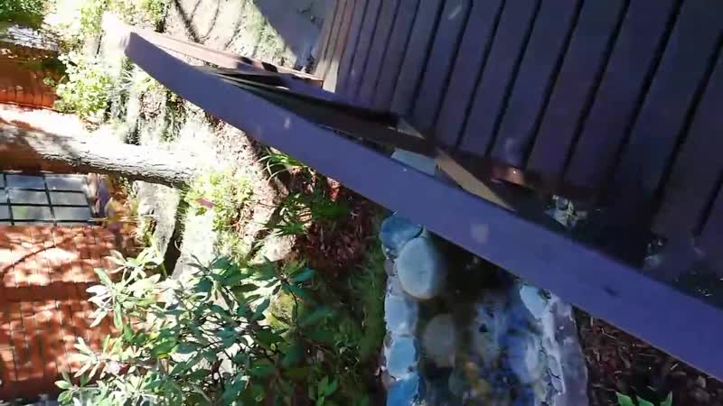 VID_20200714_165350.mp4.mp4