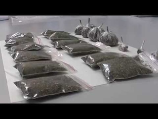 Более 1 кг марихуаны