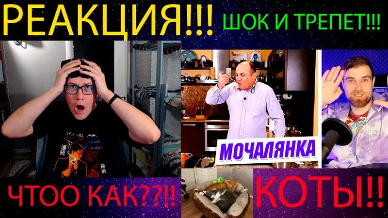 РЕАКЦИЯ НА Суп С КОЛБАСОЙ от Ильи Лазерсона в виде СОЛЯНКИ