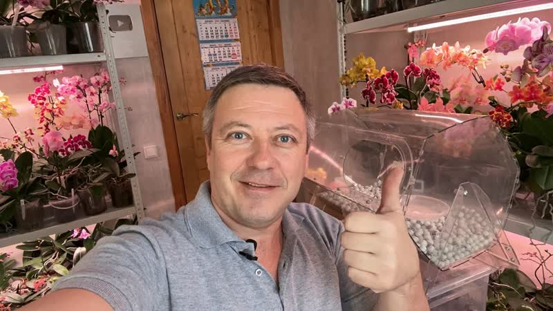 Отдаю орхидеи, Георгий Горячевский в прямом