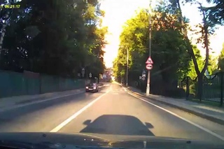 Лось в Мытищах / Elk in the Mytischy