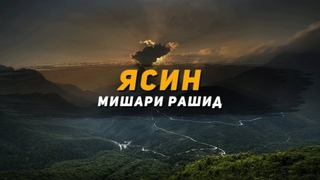 Слушайте Коран каждый день! Сура Ясин || Мишари Рашид