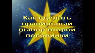 Секлитова, Стрельникова. - Как сделать правильный выбор второй половинки
