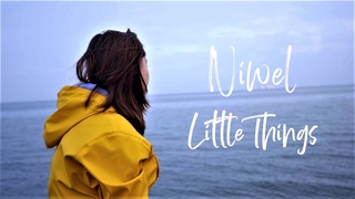 Niwel - Little Things (Lyric Video)