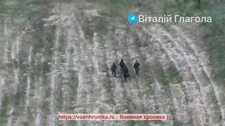 глагола
