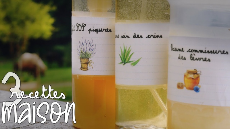 Tutos 3 RECETTES MAISON PONEY, CAVALIÈ