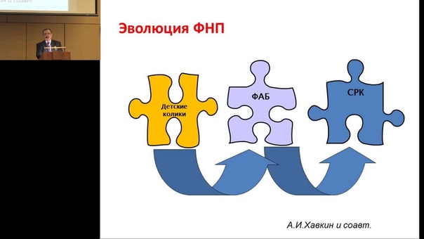 Бельмер С. В. Функциональные нарушения моторики органов