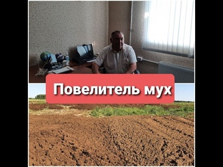 Повелитель мух - репортаж об отходах в Муслюмовском поселении Кунашакского района