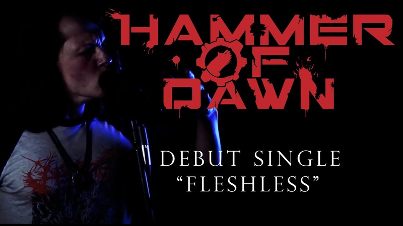 Hammer of Dawn Fleshless ( OFFICIAL VOCAL PERFORMANCE VIDEO) ( DEBUT