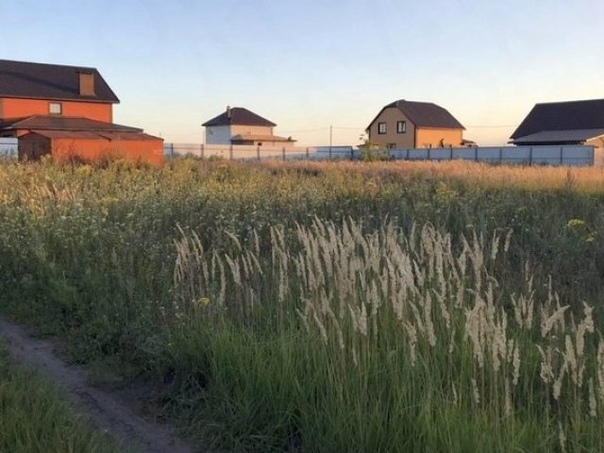 курск 1-е цветово. курская область до деревни цветово 1-е. курский район новопоселёновский сельсовет д 1-е цветово. курск 1-е цветово. цветово курск.