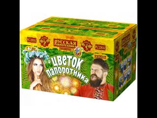 Фейерверк + фонтан Цветок папоротника (1х34) РС2810